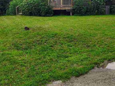 Lawn care service in Des Moines, 50312