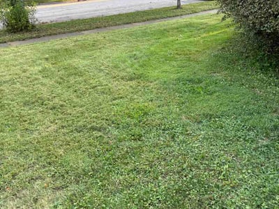 Lawn care service in Cedar Falls, 50613