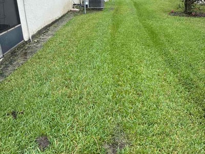 Lawn care service in Orlando, 32819