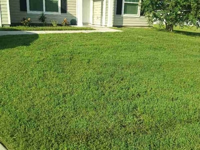 Lawn care service in Jacksonville, 32219