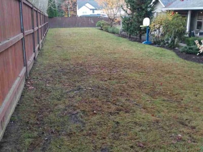 Lawn care service in , 
