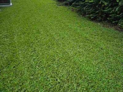 Lawn care service in Murrells Inlet, 29576