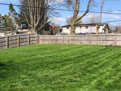 Lawn care service in Dayton, 45431
