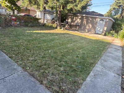 Lawn care service in Chicago, 60638