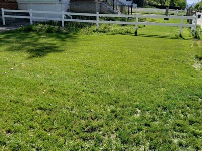 Lawn care service in Arvada, 80002