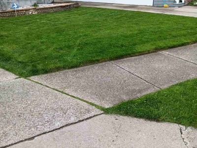 Lawn care service in Buffalo, 14207