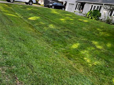 Lawn care service in Royal Pines, 28704