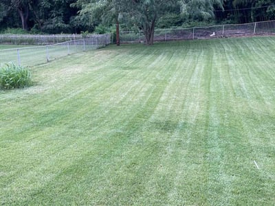 Lawn care service in Parkville, 21234