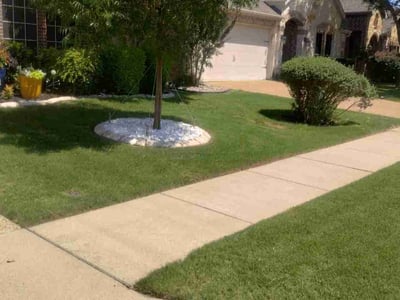 Lawn care service in McKinney, 75071