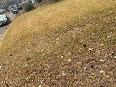 Lawn care service in Richmond, 23238
