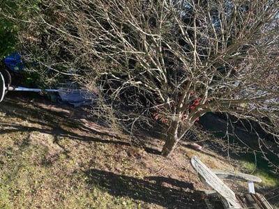 Lawn care service in Waterbury, 06708