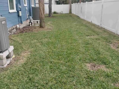 Lawn care service in St. Petersburg, 33704