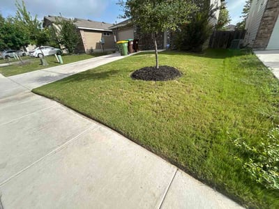 Lawn care service in San Antonio, 78253