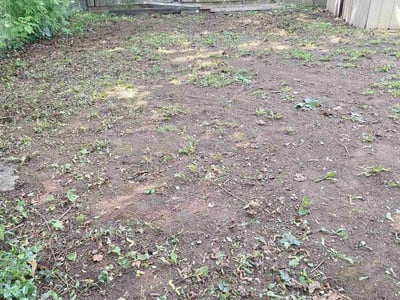 Lawn care service in Syracuse, 13208