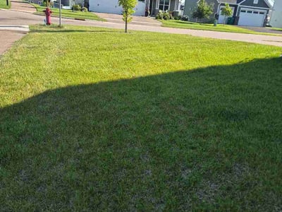 Lawn care service in Dayton, 55327