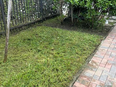 Lawn care service in Davie, 33314