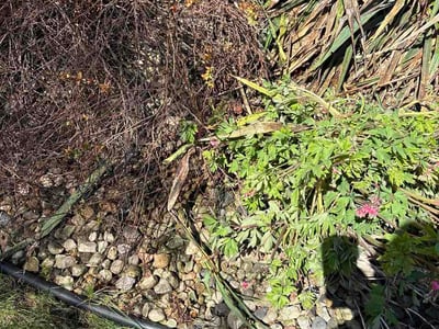 Lawn care service in Madison, 53719