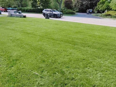 Lawn care service in Barrington, 60010