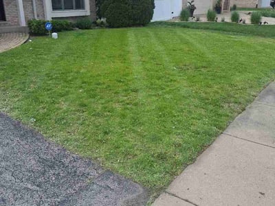 Lawn care service in Richton Park, 60471