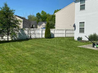 Lawn care service in Buffalo, 14228