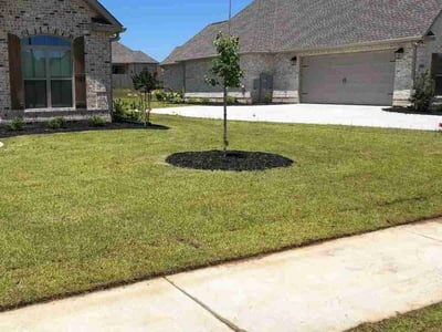 Lawn care service in Kathleen, 31047