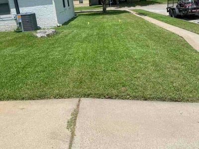 Lawn care service in Mesquite, 75150