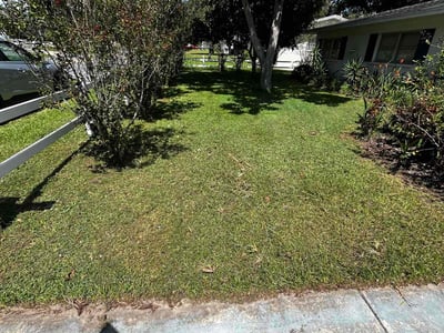 Lawn care service in Lakeland, 33803