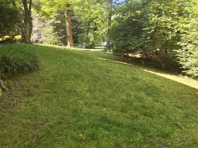 Lawn care service in Signal Mountain, 37377