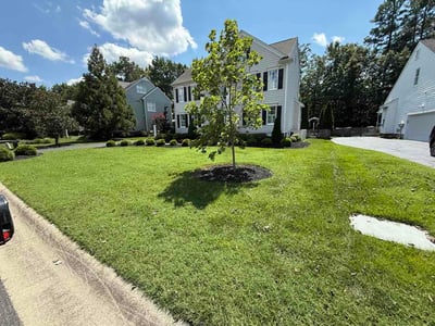 Lawn care service in Glen Allen, 23059