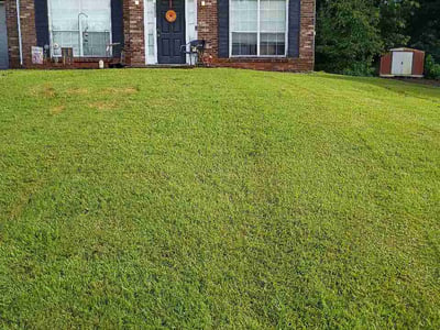 Lawn care service in Lithonia, 30058