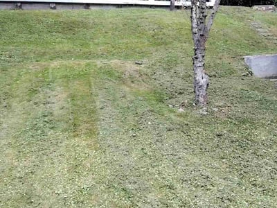 Lawn care service in Morgantown, 26501