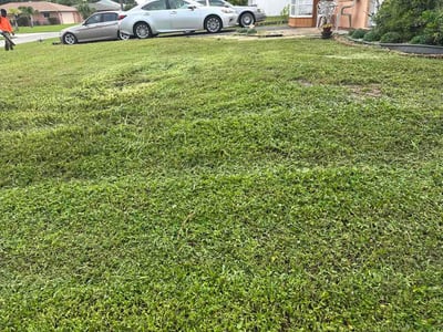 Lawn care service in Sarasota, 34234