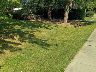 Lawn care service in Louisville, 40223