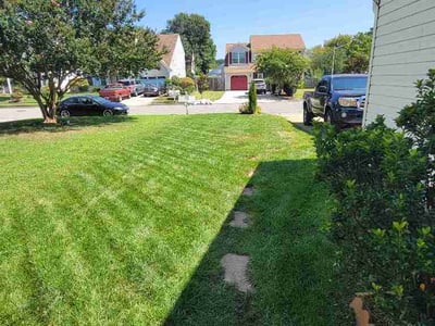 Lawn care service in Virginia Beach, 23456