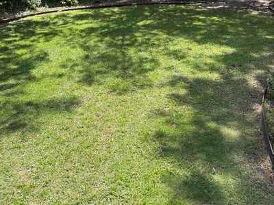 Lawn care service in Wilmington, 28409