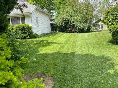 Lawn care service in Columbus, 43228