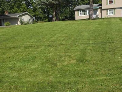 Lawn care service in Macedon, 14502