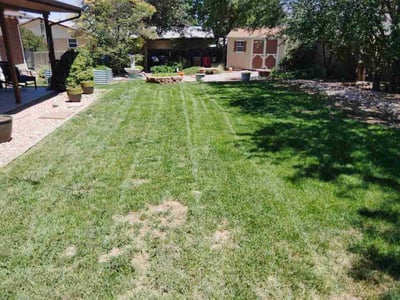 Lawn care service in Northglenn, 80260