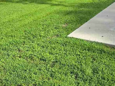 Lawn care service in Olathe, 66061