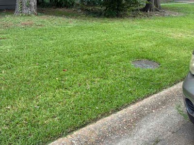 Lawn care service in Jackson, 39206