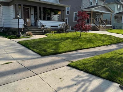 Lawn care service in Tonawanda, 14150