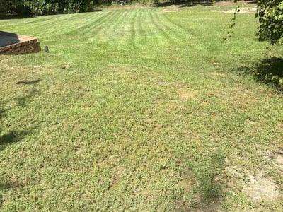 Lawn care service in Augusta, 30906