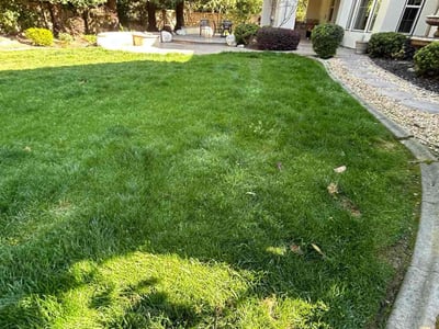 Lawn care service in Granite Bay, 95746