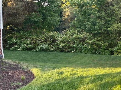 Lawn care service in Coraopolis, 15108