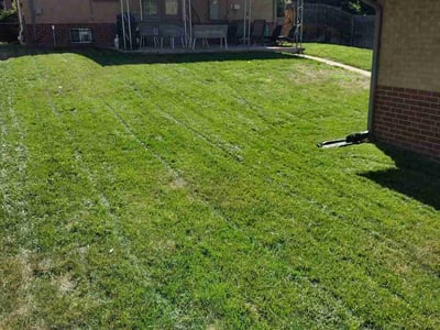 Lawn care service in Denver, 80205