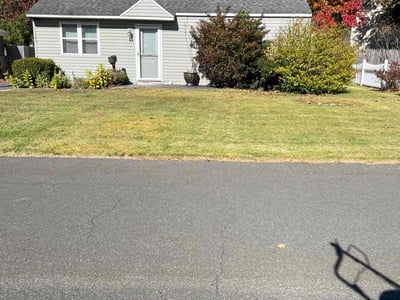 Lawn care service in Albany, 12205