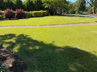 Lawn care service in Greenville, 29615
