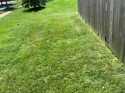 Lawn care service in Perry Hall, 21128