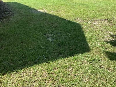 Lawn care service in North Charleston, 29418