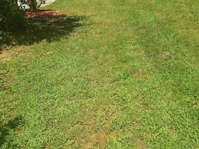 Lawn care service in Conyers, 30012